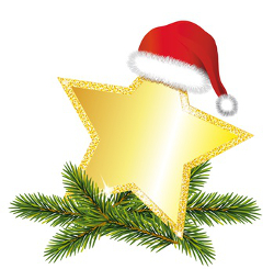 La estrella de las navidades.jpg