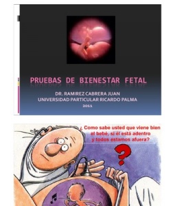 Bienestar fetal-1 .jpeg