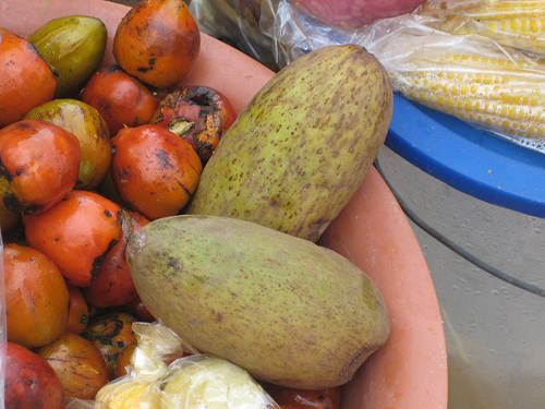 Archivo:Mango sacha.jpg