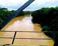 Laguna de Unare.jpeg