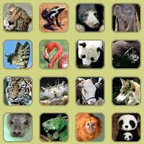 Animales salvajes.jpg