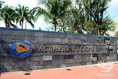 Acuario Nacional (República Dominicana).jpg