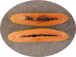Papaya naran.png