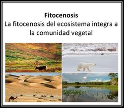 Fitocenosis.jpg