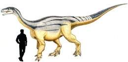 Melanorosaurus.jpg