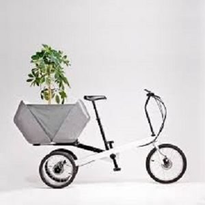 Velocipedo 3.jpg