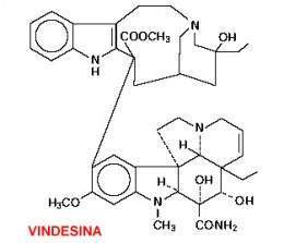 Vindesina.jpg