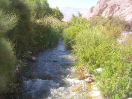 Rio San Jose1.jpeg