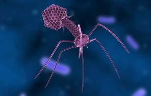 Bacteriofagos.jpg