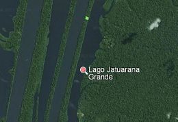 Lago jatuarana grande br.JPG
