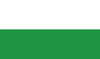 Bandera de Nuevo Rocafuerte