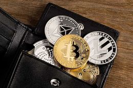 Wallet monederos de criptomonedas.jpg