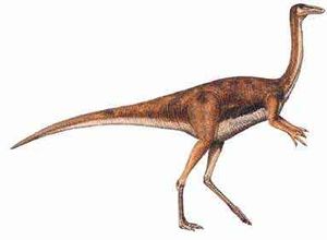 Gallimimus.jpg