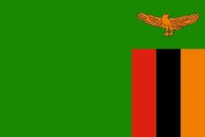 Bandera de Zambia.jpg