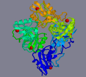 Factor IX.gif