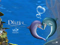 Delfin soñador1.jpg