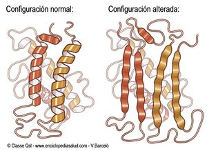 Prion.jpg