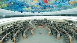 Consejo derechos humanos onu.jpg