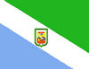 Bandera de Camatagua