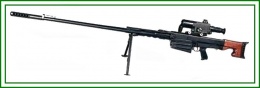 Fusil de Francotirador OSV-96.jpeg