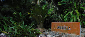 UCLV Jardín Botánico 002.jpeg