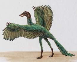 Archaeopteryx-centroufologicotaranto.files .wordpress.jpg