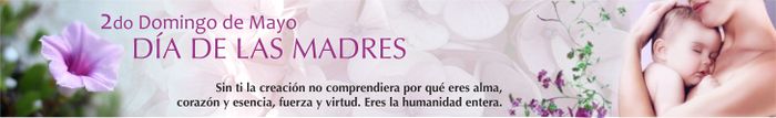 Banner conmemorativo Dia de las Madres.jpg