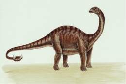 Shunosaurus-10485.jpg