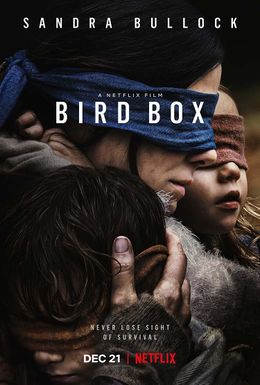 Bird box-860040347-large.jpg