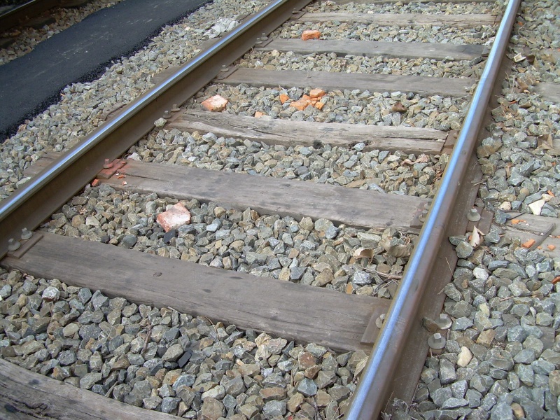 Archivo:Traviesamadera.JPG