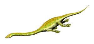 Dinocephalosaurus ecured.jpg