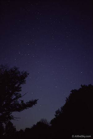 Andromeda28v-b.jpg