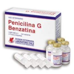 Penicilina benzatina.jpg