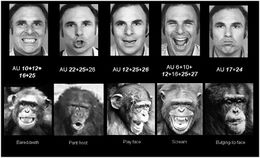Chimp-human-expressions1-1024x623.jpg