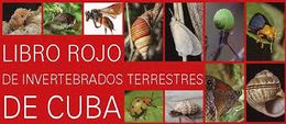 Libro rojo.jpg