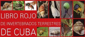 Libro rojo.jpg