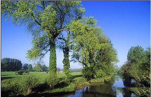 Río Canche.JPG