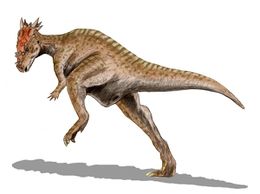 Dracorex.jpg