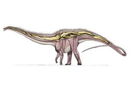 Cetiosauriscus.jpg