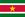 Bandera de Surinam.jpg
