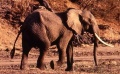 Miniatura de la versión del 15:07 3 mar 2011