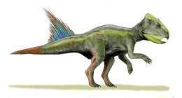 Ecured Archaeoceratops.jpg