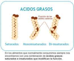 Acidos grasos.jpg