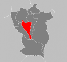 Ubicación del municipio Rómulo Gallegos.