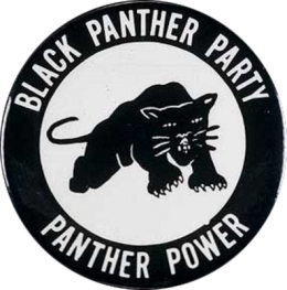 Partido Pantera negra.png