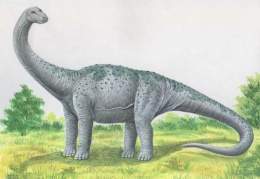 Pcab261 kotasaurus.jpg