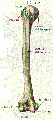 Miniatura de la versión del 17:03 30 nov 2011