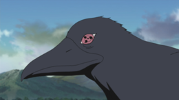 Cuervo de Itachi en el anime.png