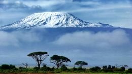 Parque Kilimanjaro.jpg