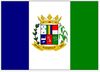 Bandera de Alvinópolis
